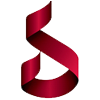 biznetsol.com-logo